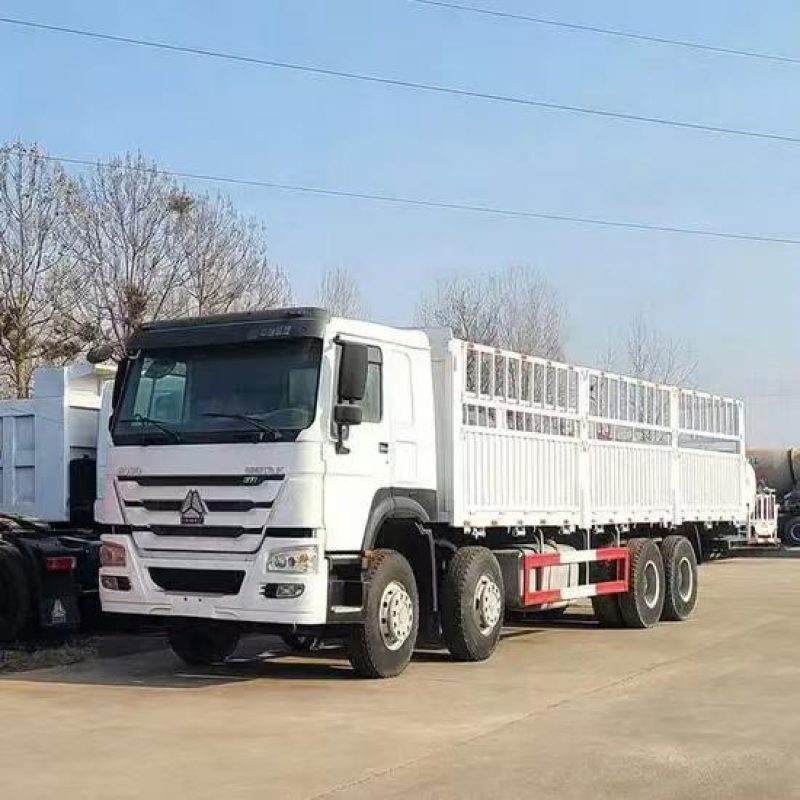 SINOTRUK HOWO 8x4 cargo truck with 371HP WD615 engine and high stake fence cargo body